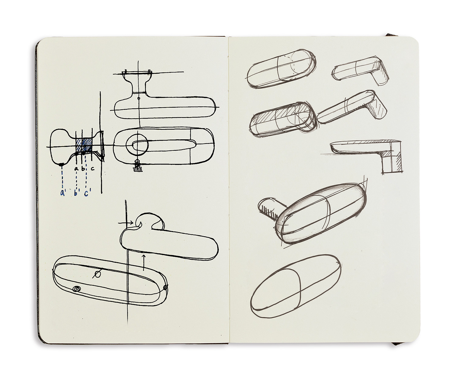 Moleskine-BIG_palm_web