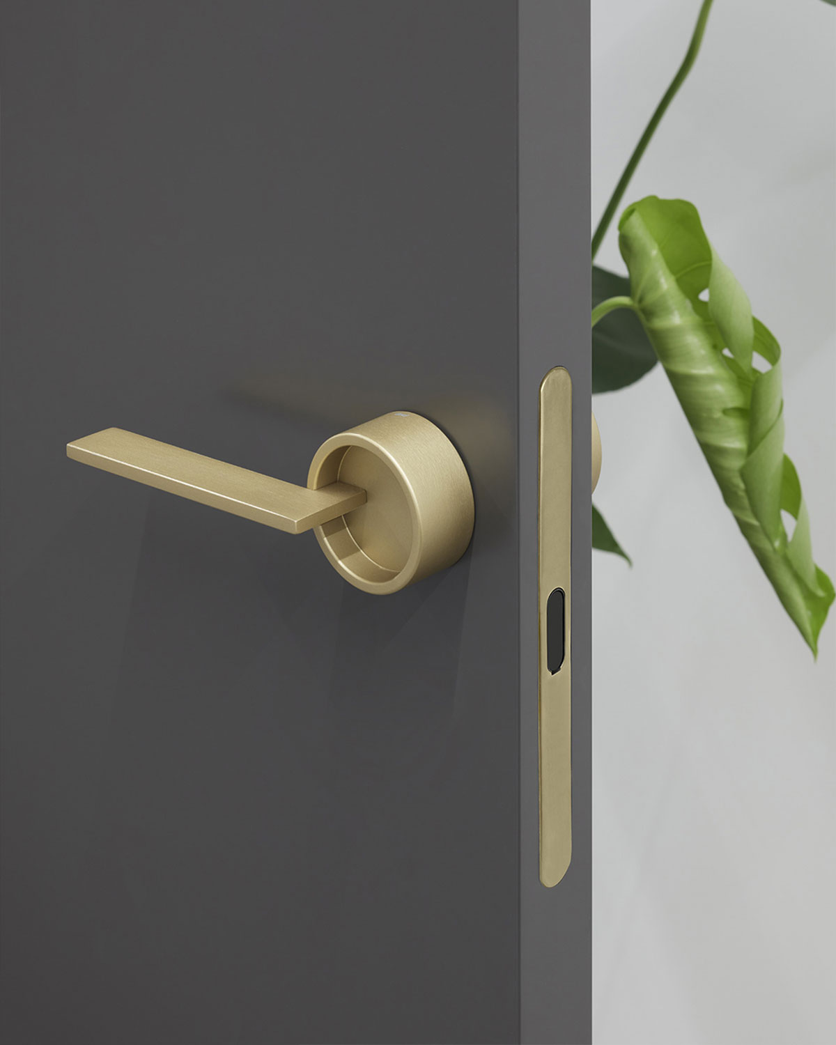 img_landing-salone25_total-look_02