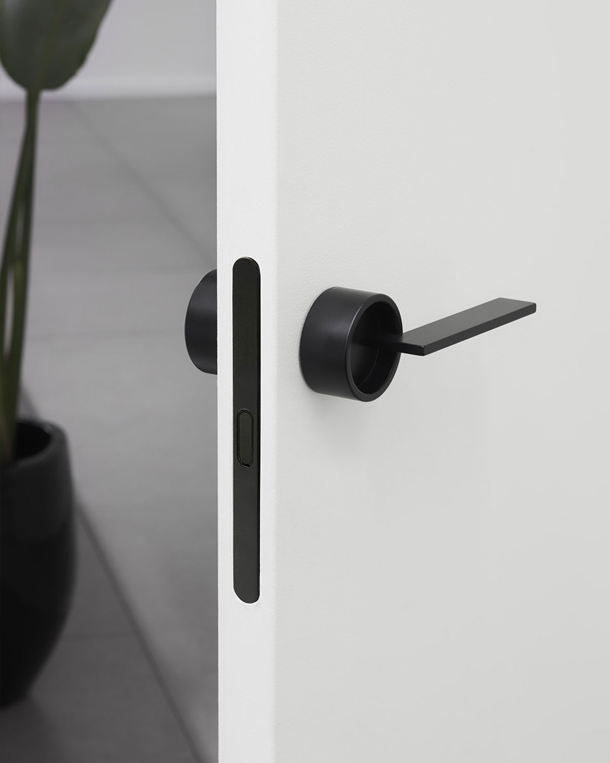 img_landing-salone25_total-look_03